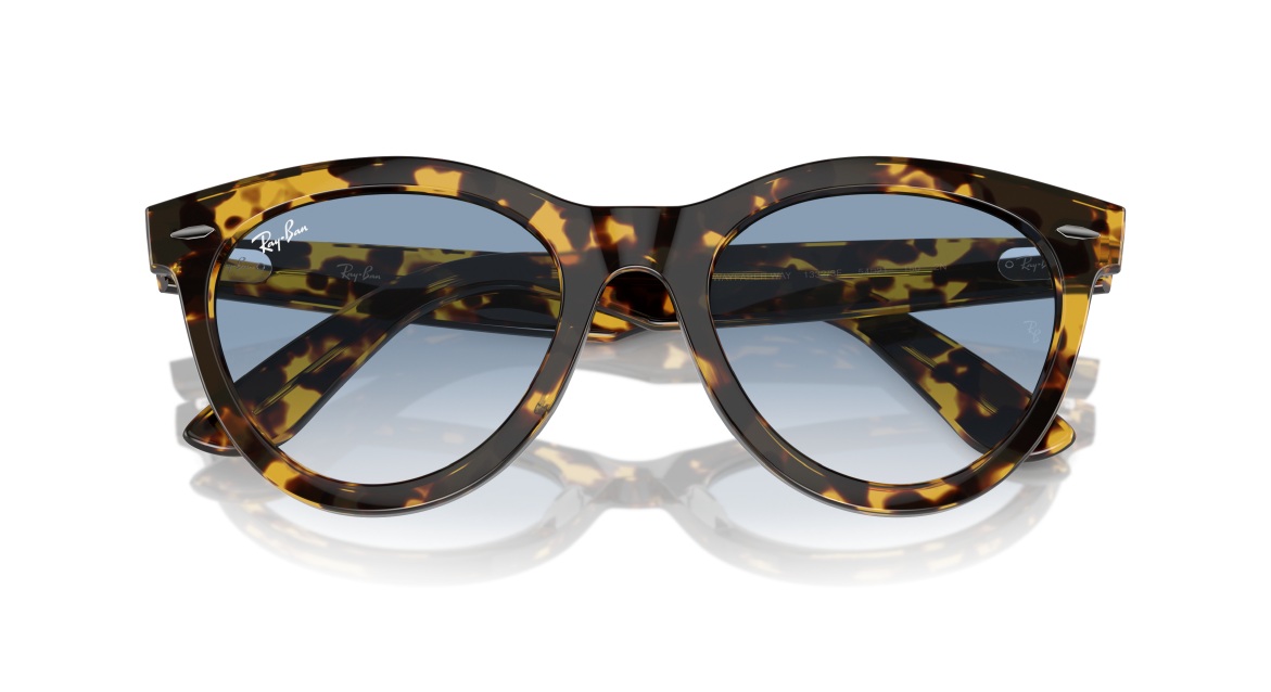 RAY-BAN 0RB2241 13323F EVOL